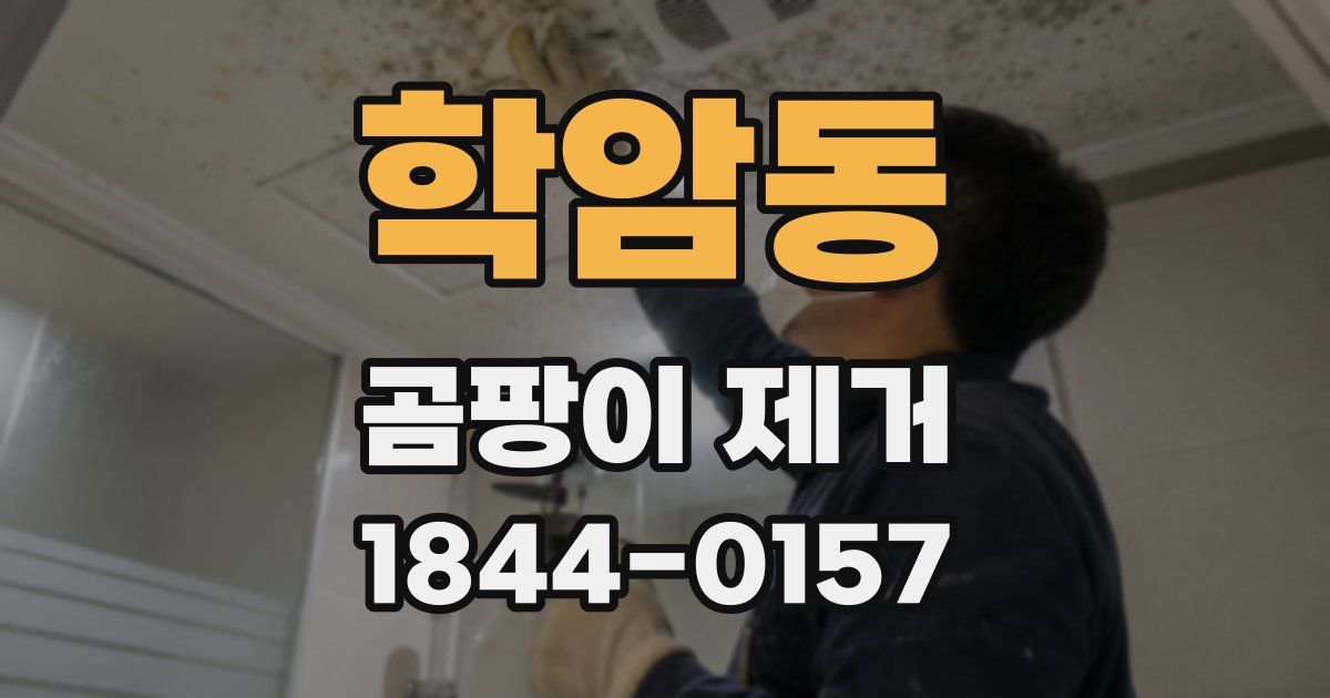 학암동 곰팡이 제거