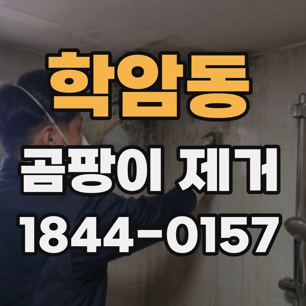 학암동 곰팡이 제거