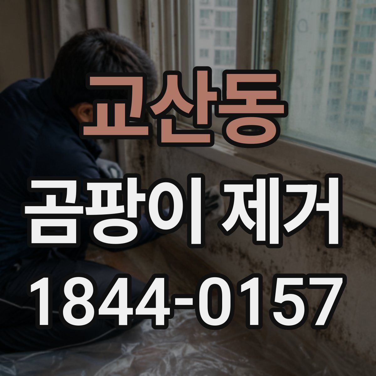 교산동 곰팡이 제거