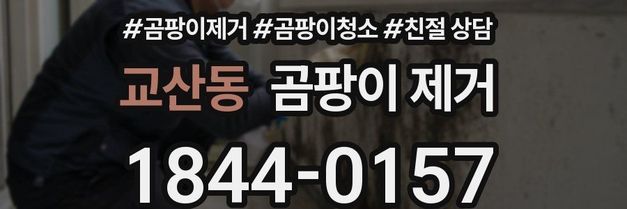 교산동 곰팡이 제거
