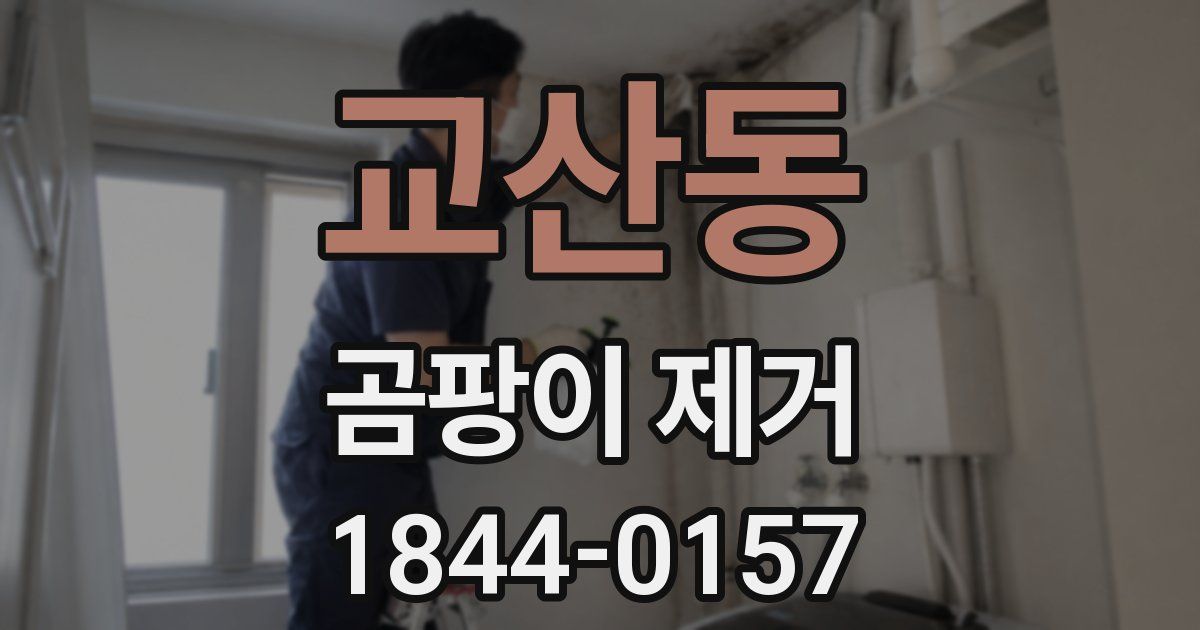 교산동 곰팡이 제거
