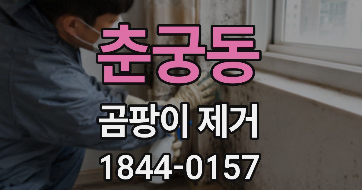 춘궁동 곰팡이 제거