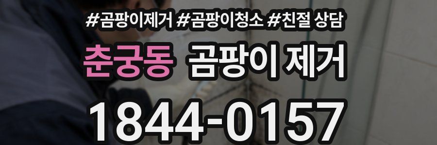춘궁동 곰팡이 제거