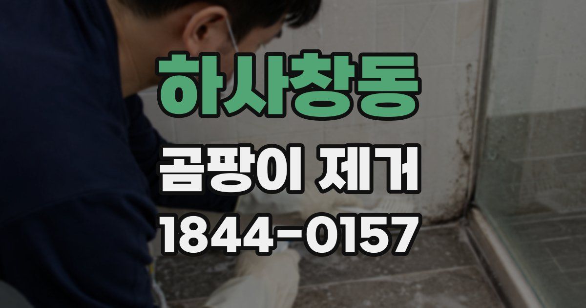 하사창동 곰팡이 제거