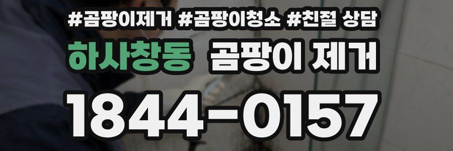 하사창동 곰팡이 제거