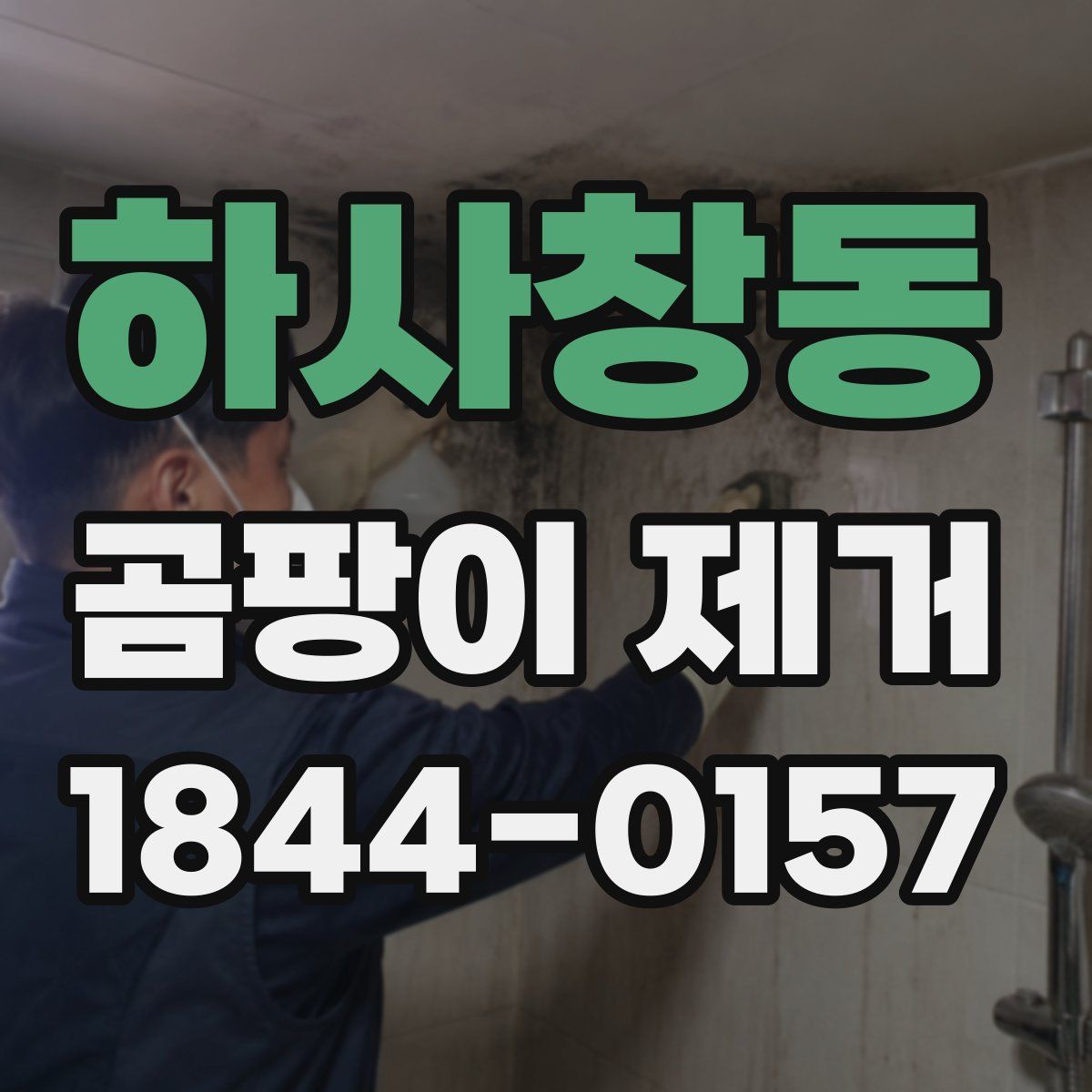 하사창동 곰팡이 제거