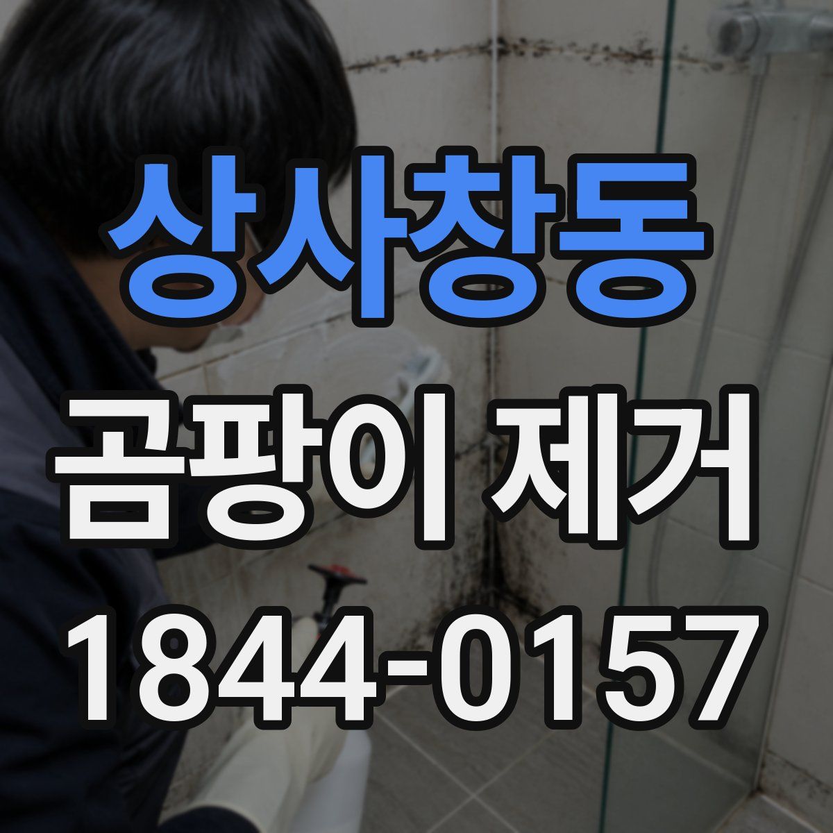 상사창동 곰팡이 제거