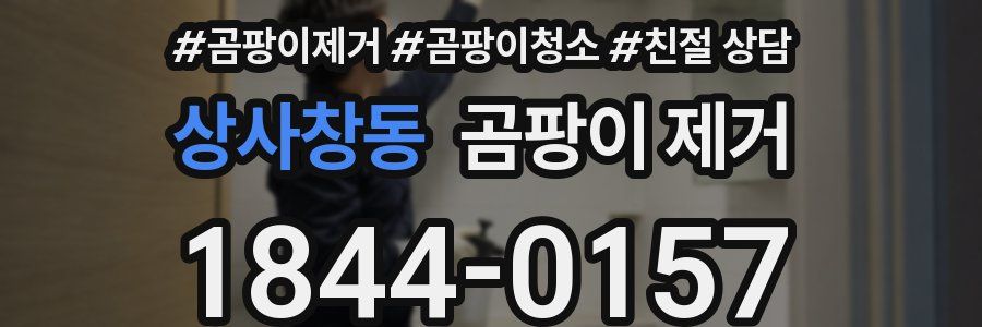 상사창동 곰팡이 제거