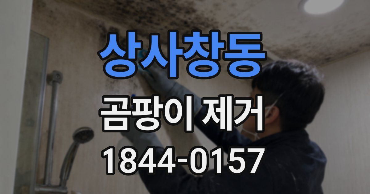 상사창동 곰팡이 제거