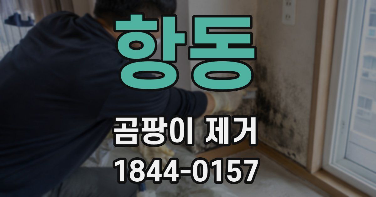 항동 곰팡이 제거
