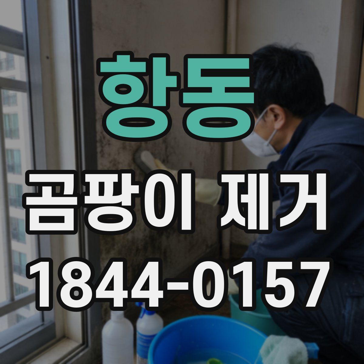 항동 곰팡이 제거