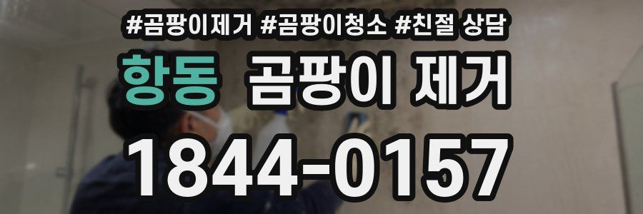 항동 곰팡이 제거