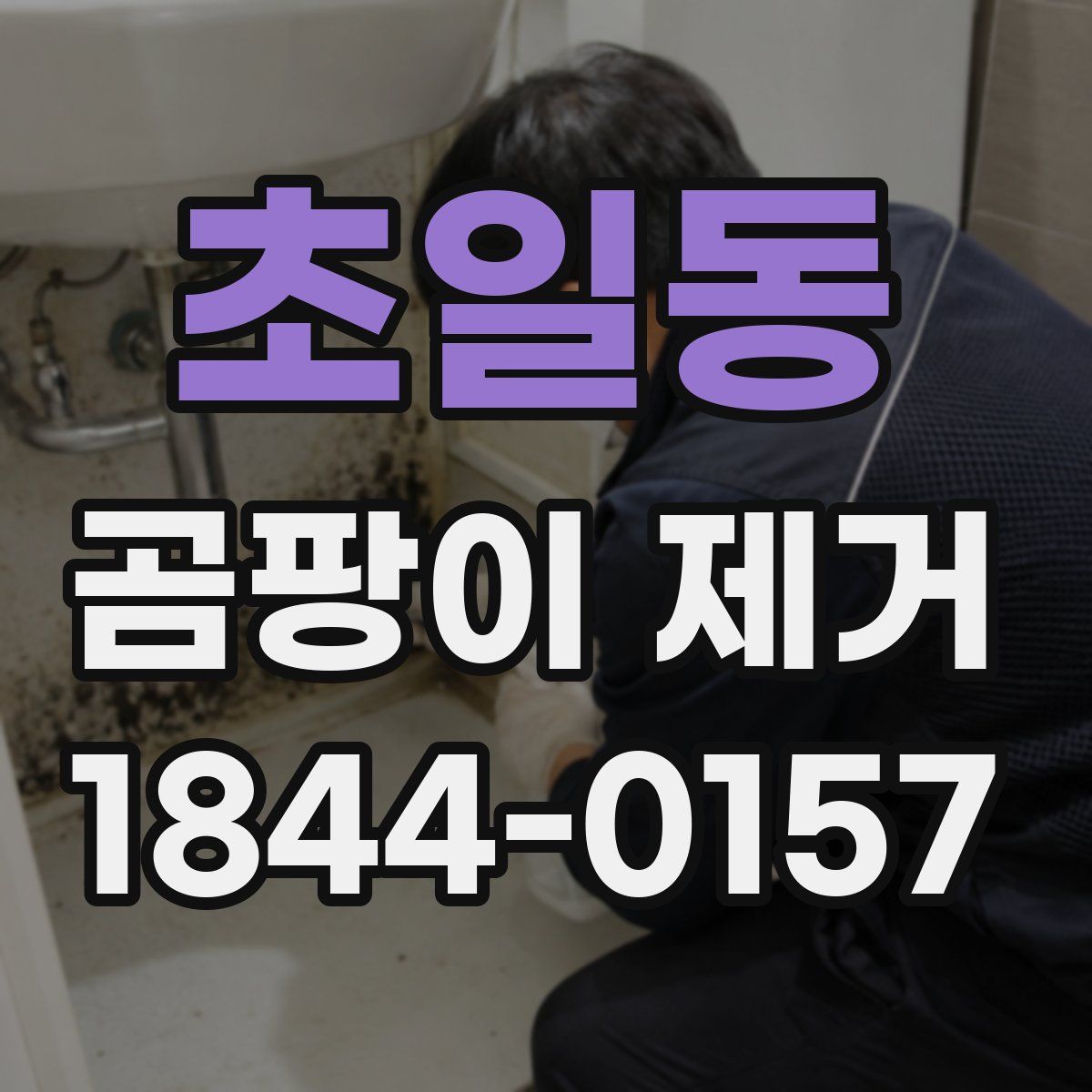 초일동 곰팡이 제거