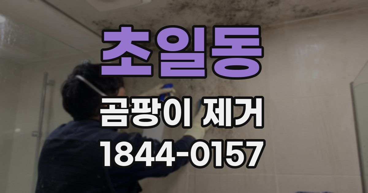 초일동 곰팡이 제거
