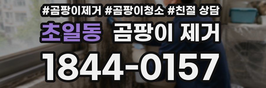 초일동 곰팡이 제거