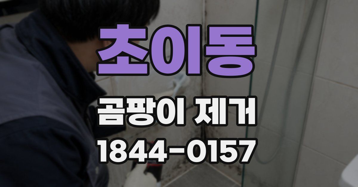 초이동 곰팡이 제거