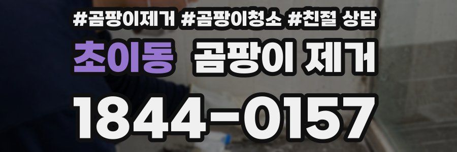 초이동 곰팡이 제거