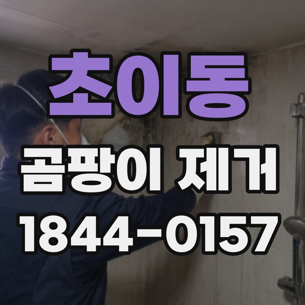 초이동 곰팡이 제거