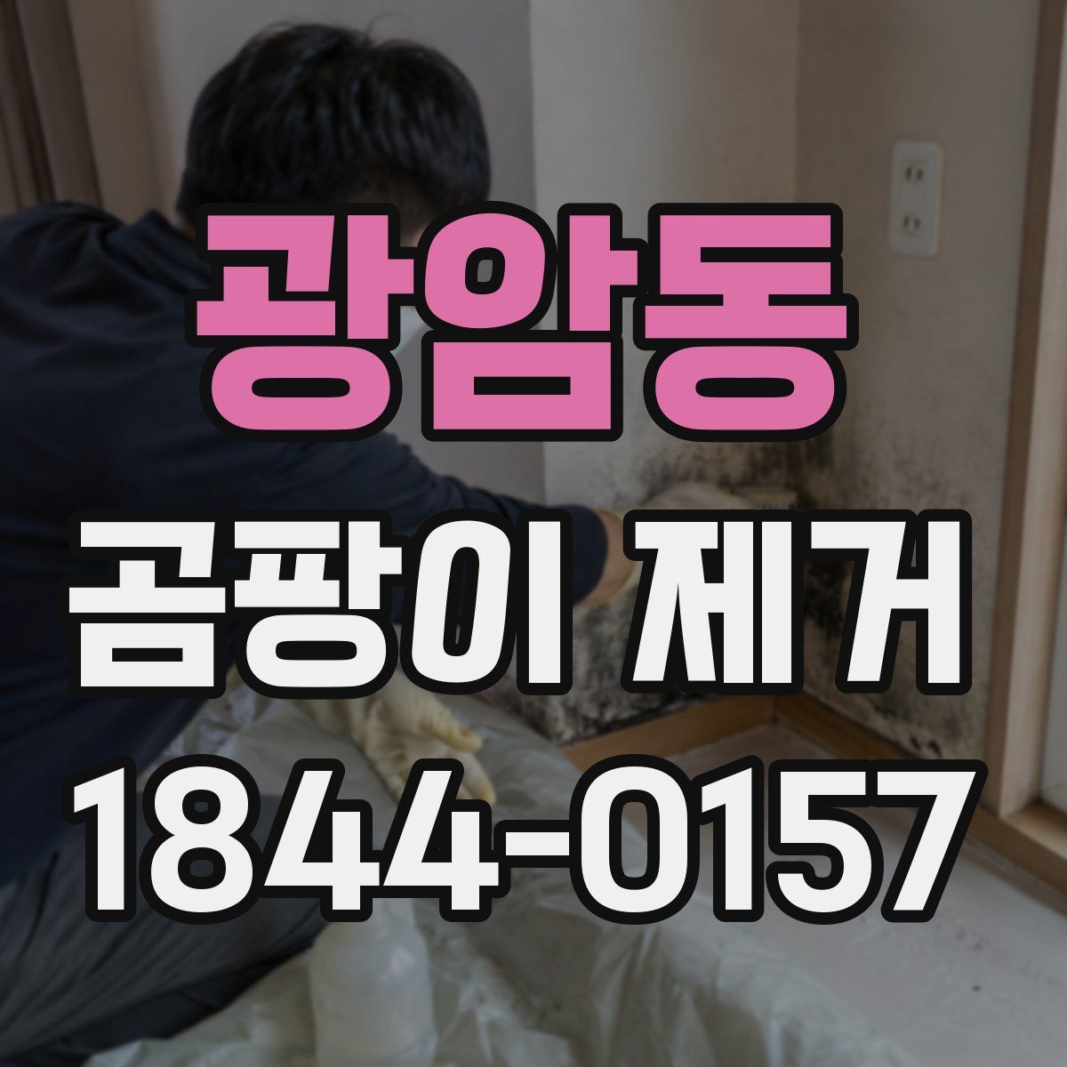 광암동 곰팡이 제거