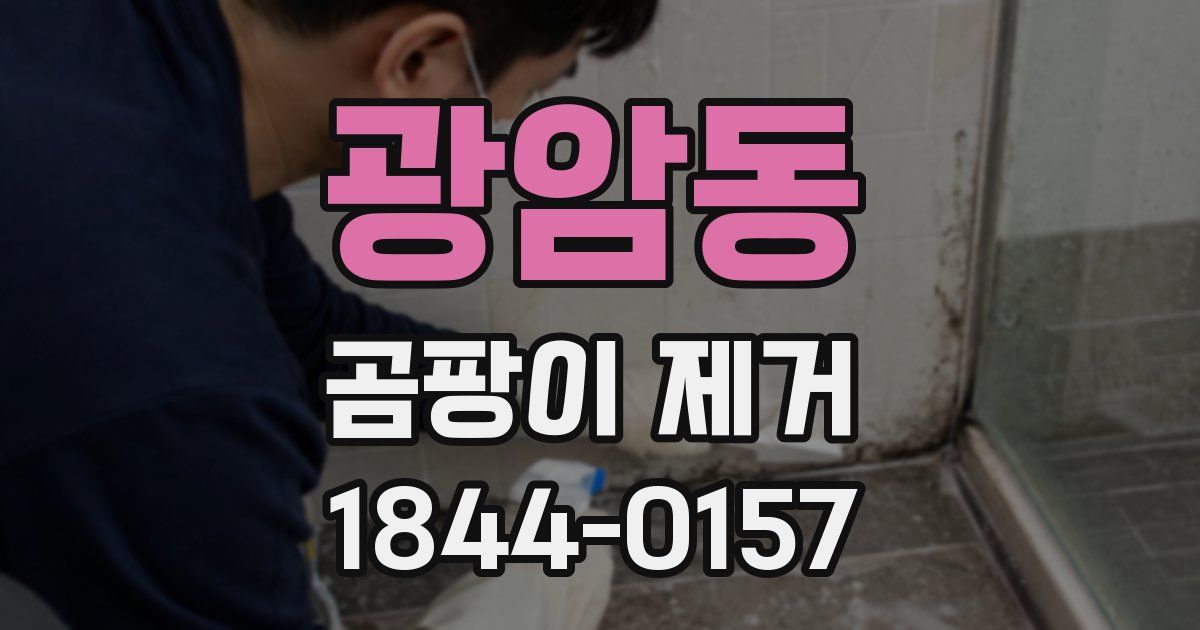 광암동 곰팡이 제거