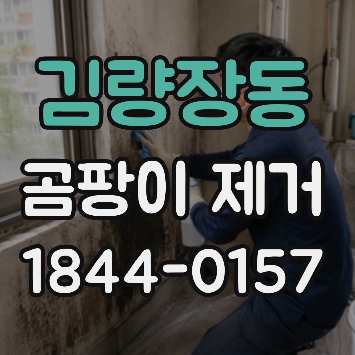 김량장동 곰팡이 제거