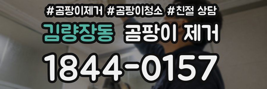 김량장동 곰팡이 제거