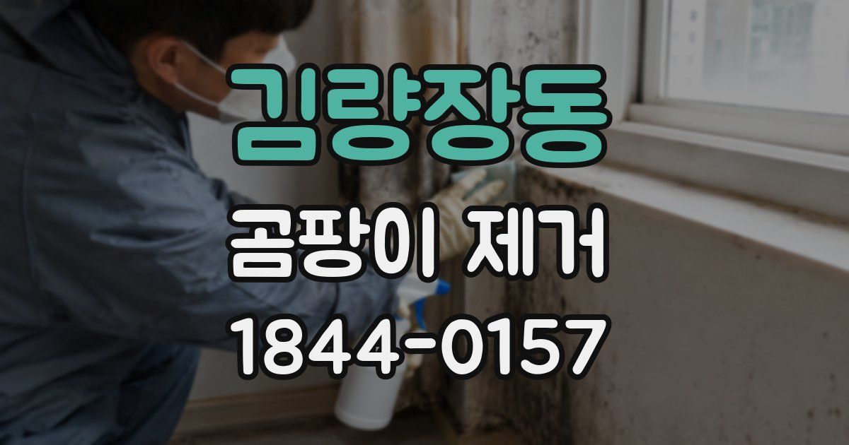 김량장동 곰팡이 제거