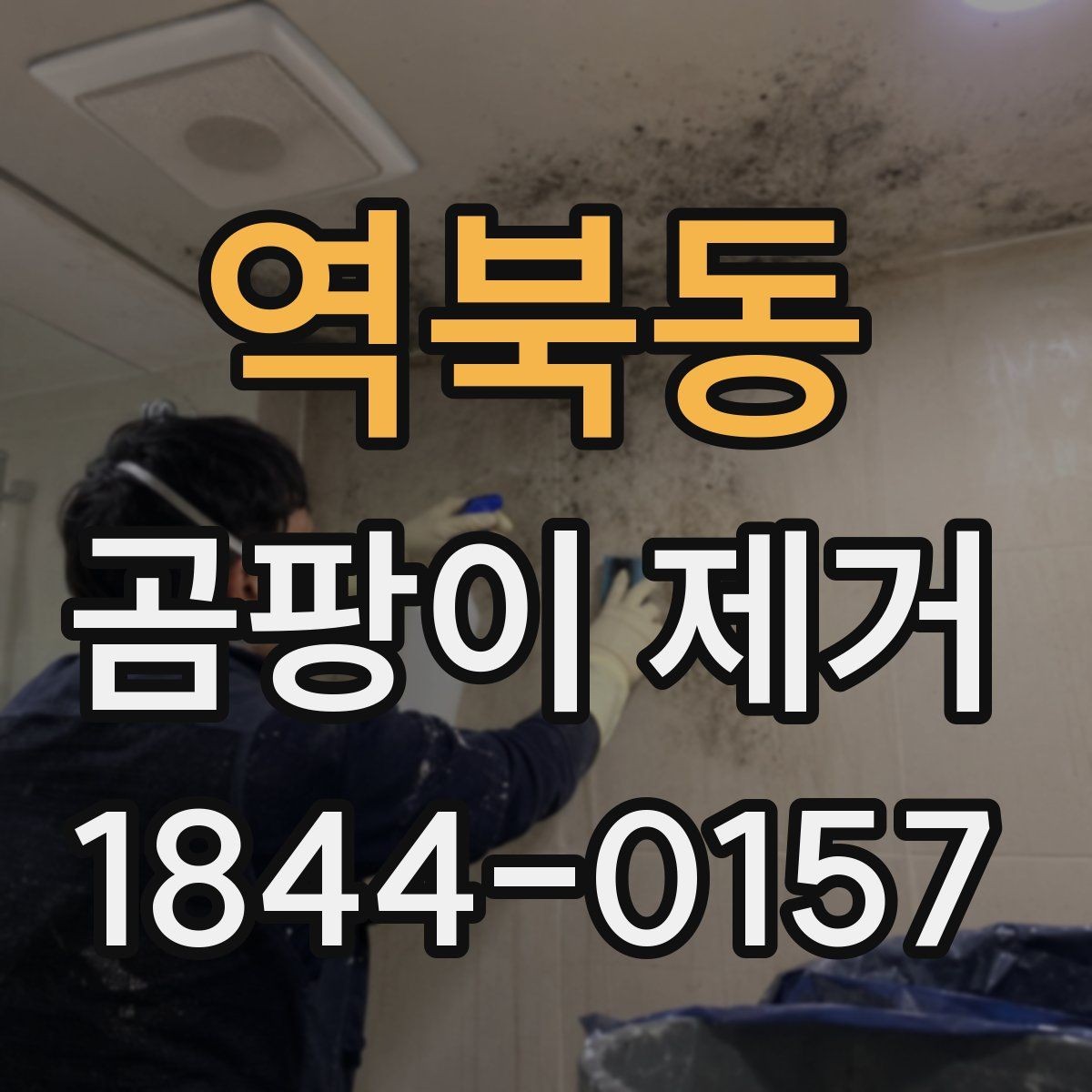 역북동 곰팡이 제거 비용이 달라지는 기준 정리