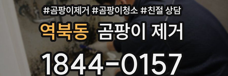 역북동 곰팡이 제거