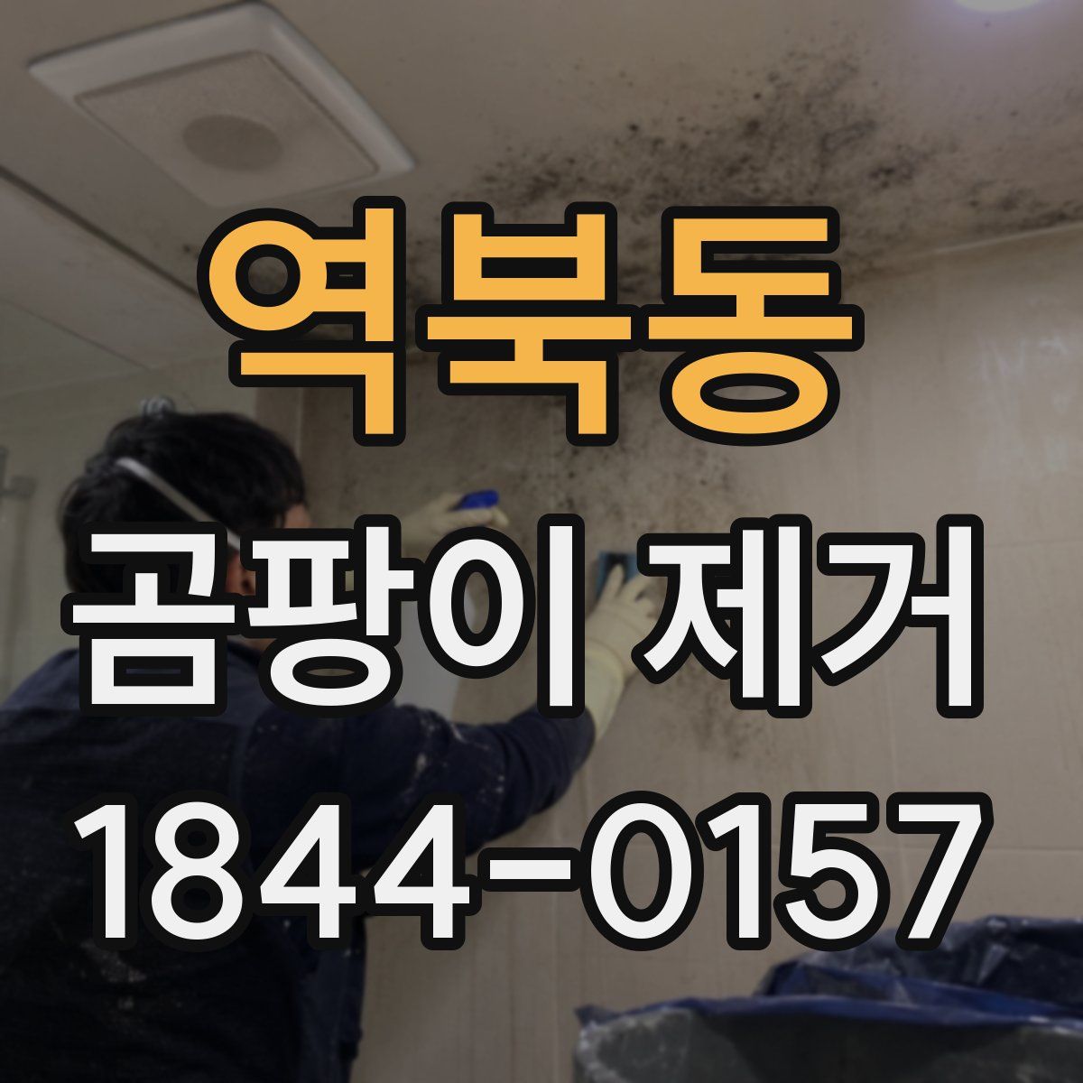 역북동 곰팡이 제거