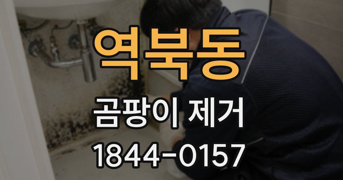 역북동 곰팡이 제거