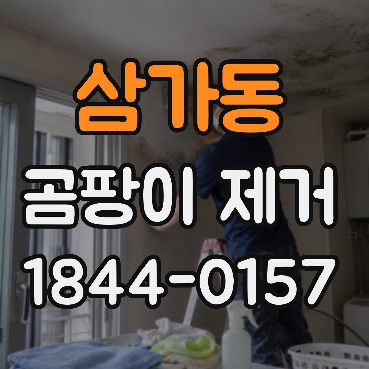 삼가동 곰팡이 제거