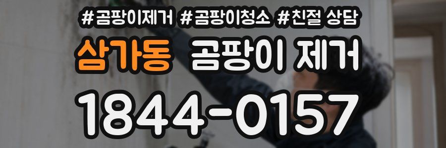 삼가동 곰팡이 제거