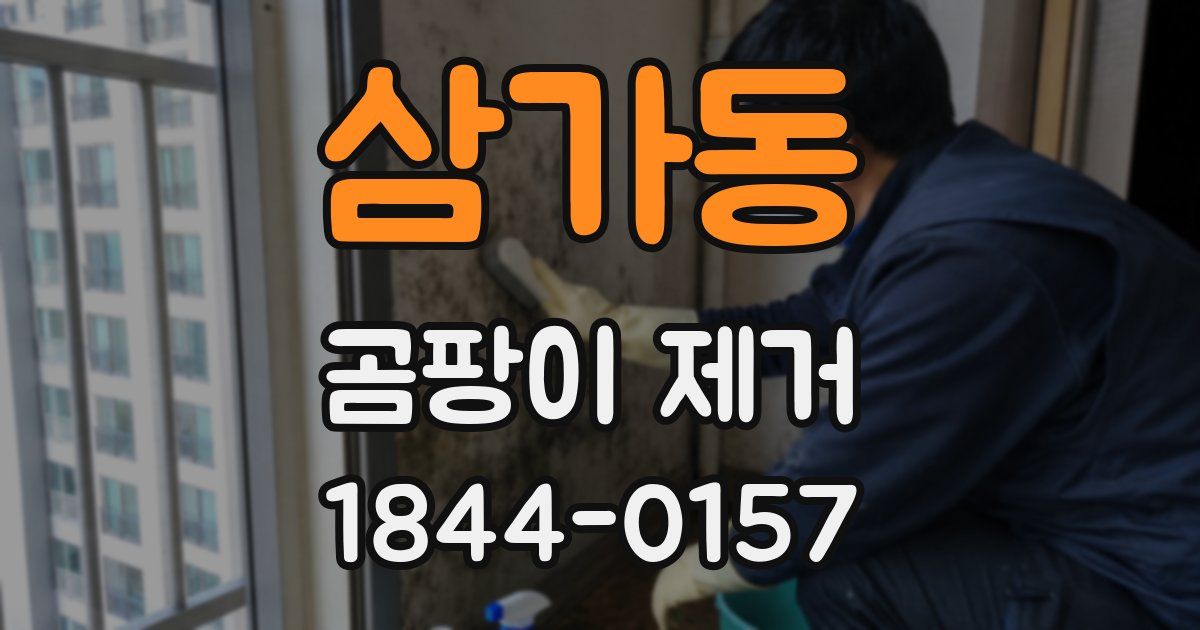 삼가동 곰팡이 제거