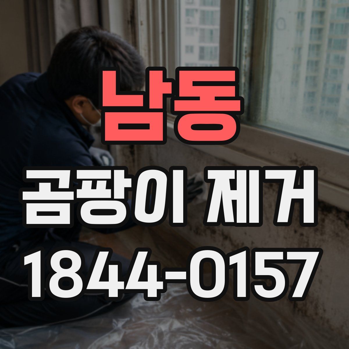 남동 곰팡이 제거