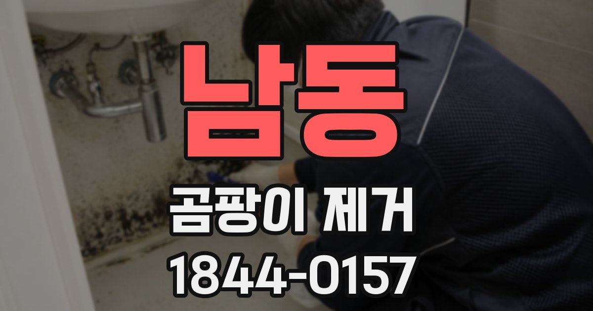 남동 곰팡이 제거