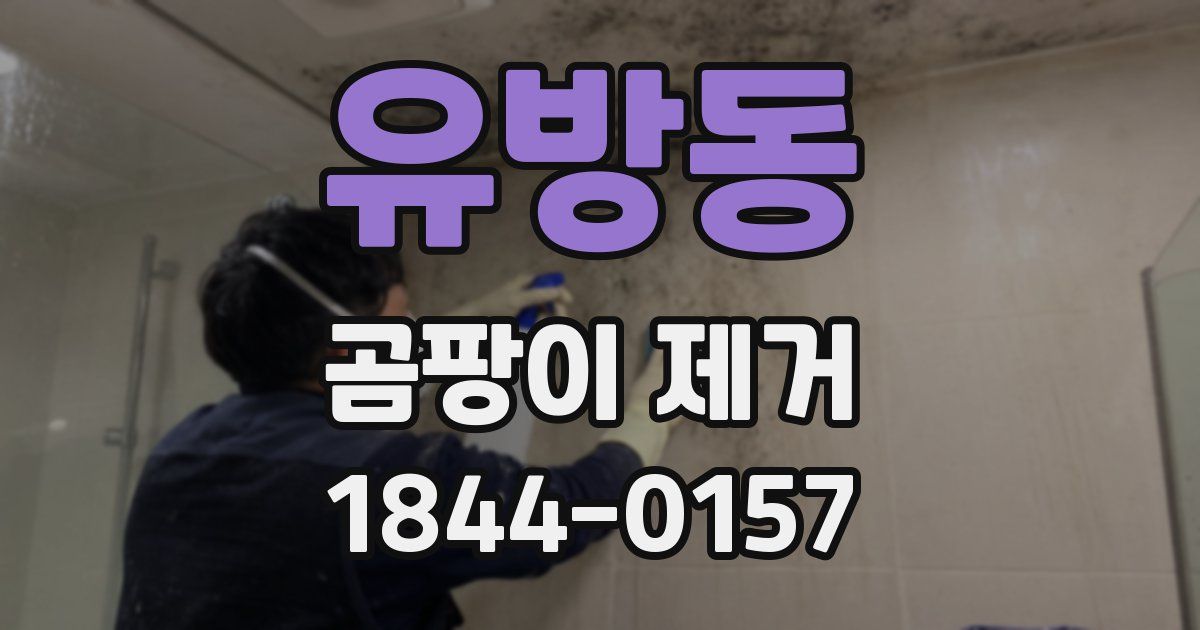 유방동 곰팡이 제거