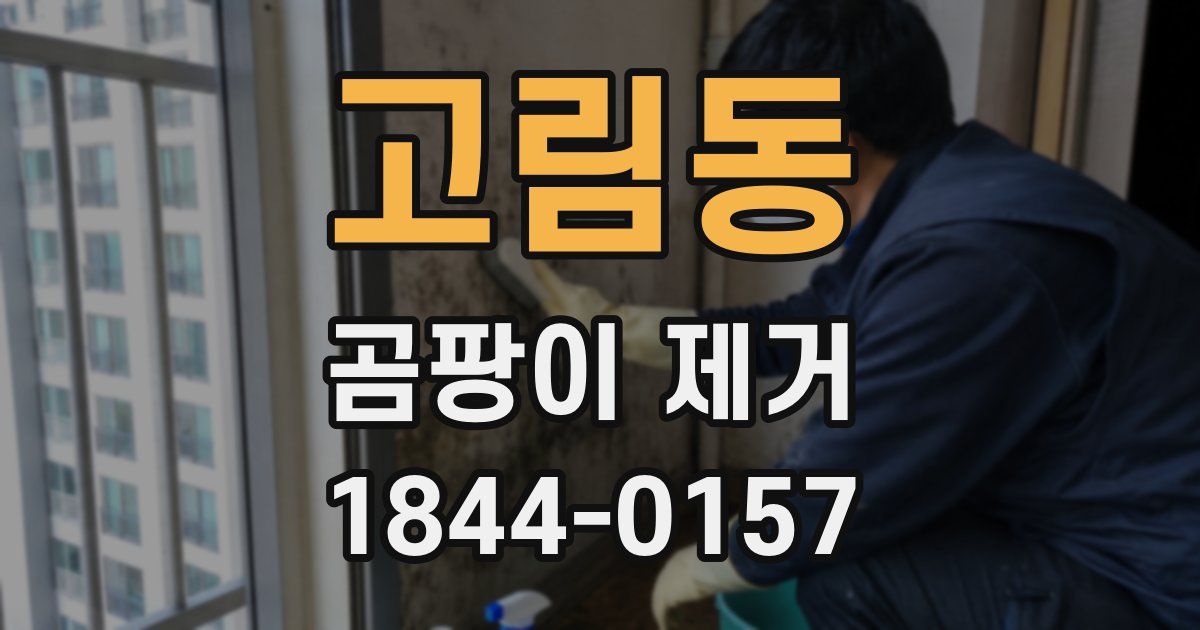 고림동 곰팡이 제거
