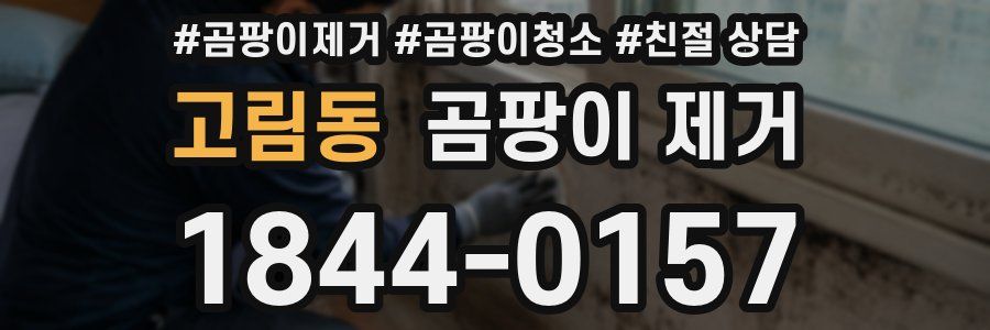 고림동 곰팡이 제거