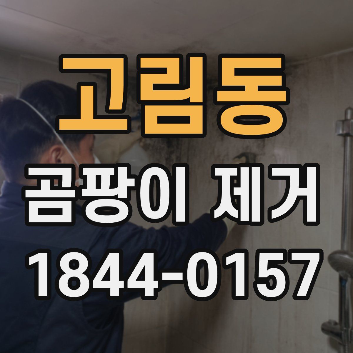 고림동 곰팡이 제거