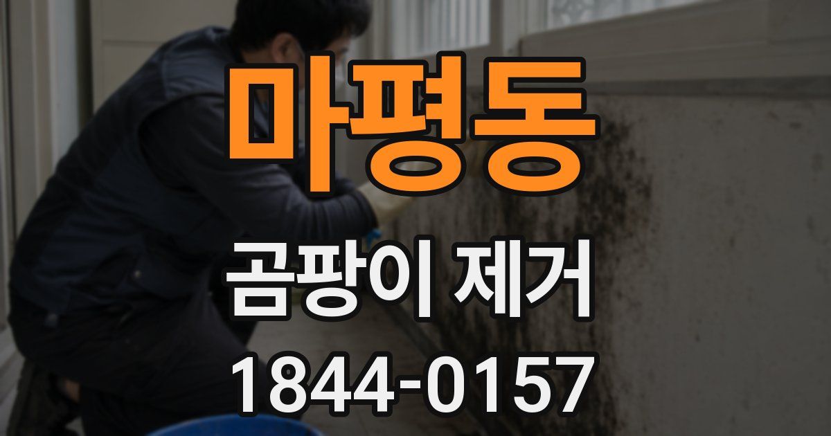 마평동 곰팡이 제거