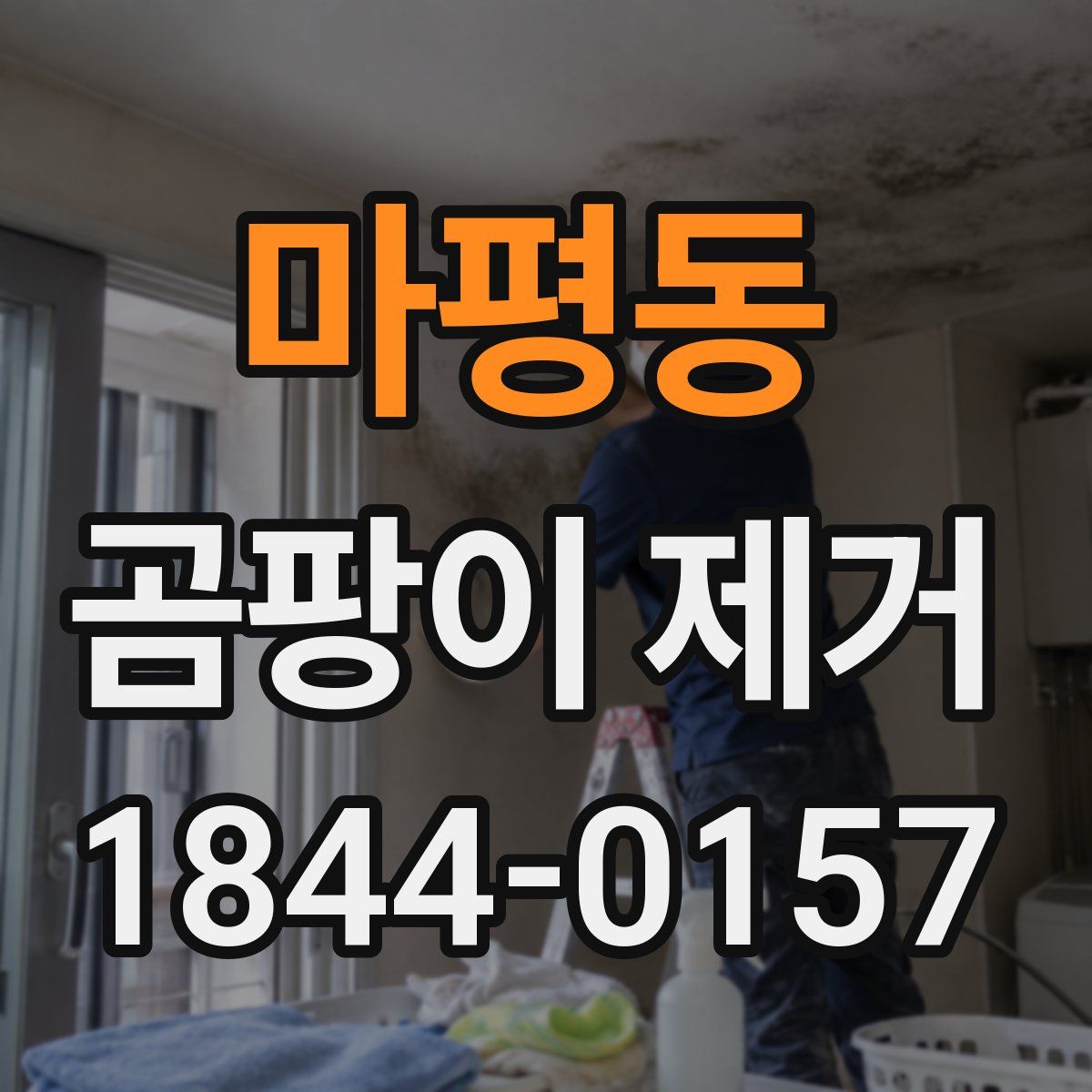마평동 곰팡이 제거