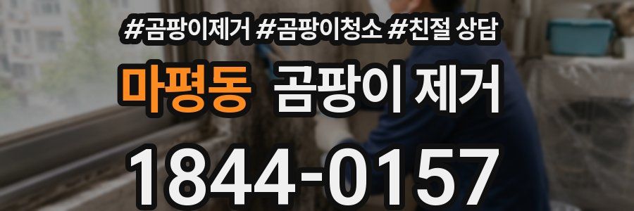 마평동 곰팡이 제거