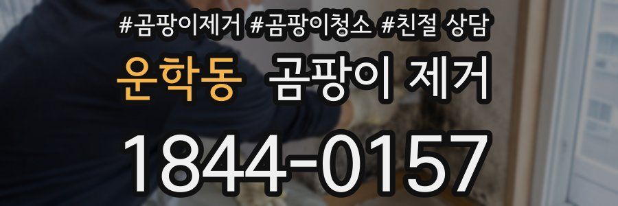 운학동 곰팡이 제거