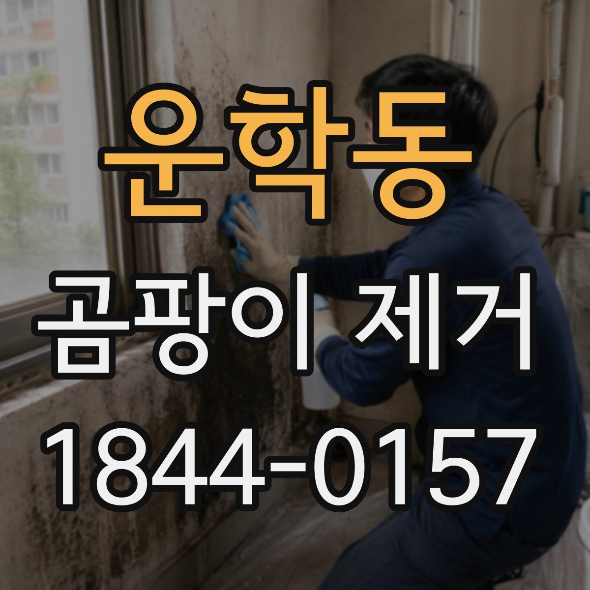 운학동 곰팡이 제거
