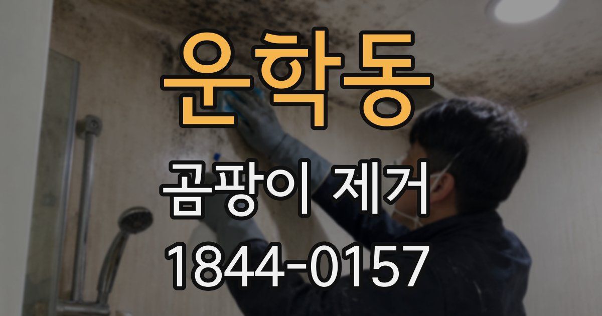 운학동 곰팡이 제거
