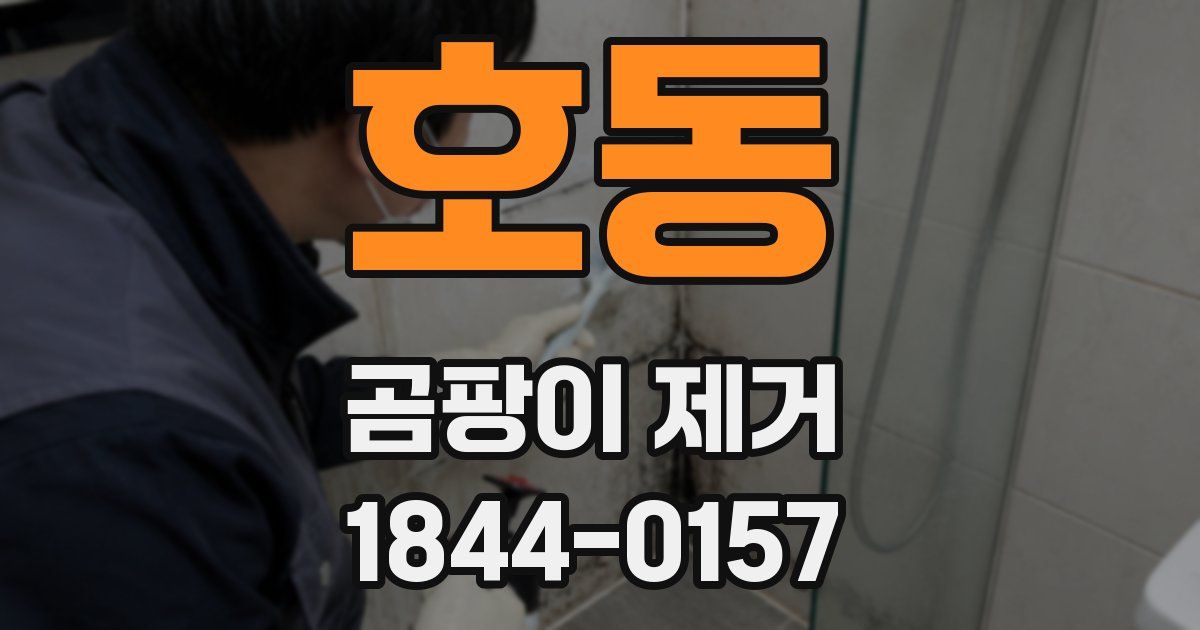호동 곰팡이 제거