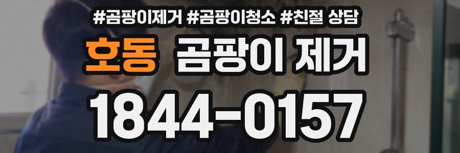 호동 곰팡이 제거