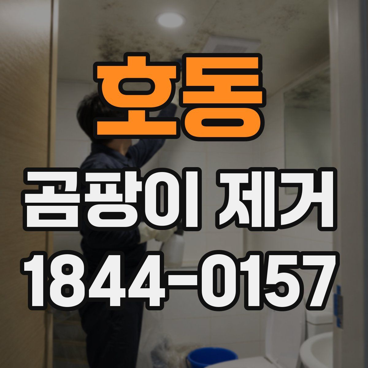 호동 곰팡이 제거