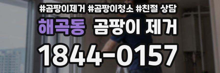 해곡동 곰팡이 제거
